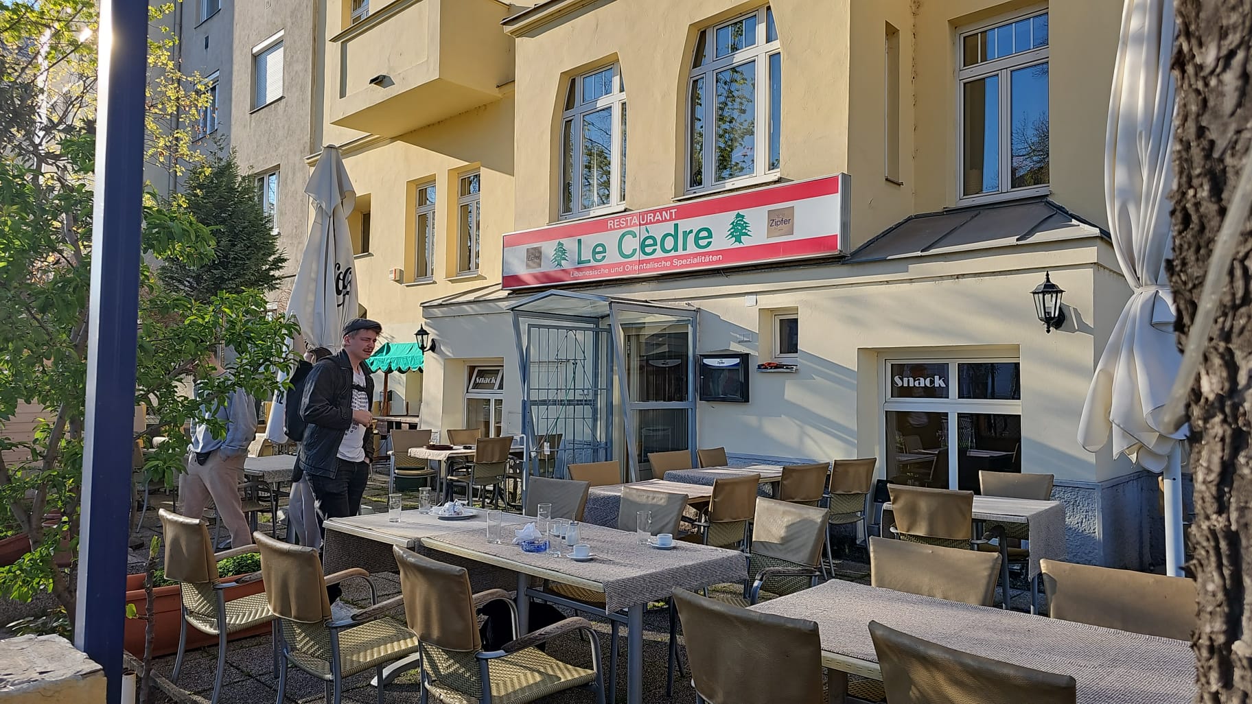 Le Cedre